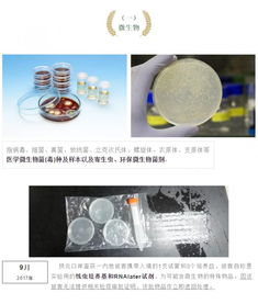 攜帶血液與生物制品進出境 海關監管的挑戰與應對